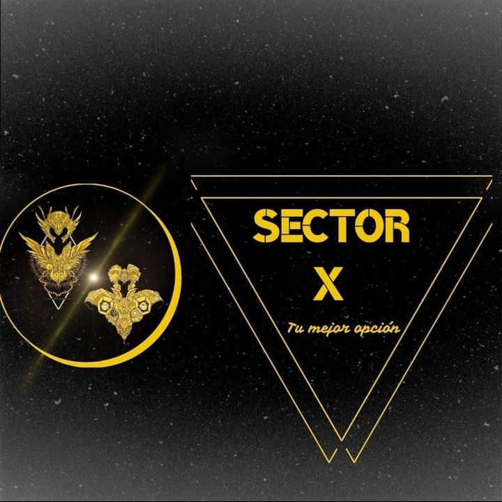 SectorX