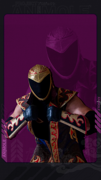Tinieblas Jr.
