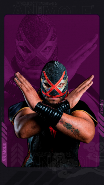 Villano V Jr.